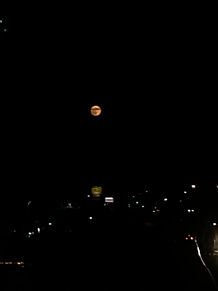 ハロウィンの日の満月の画像(満月に関連した画像)