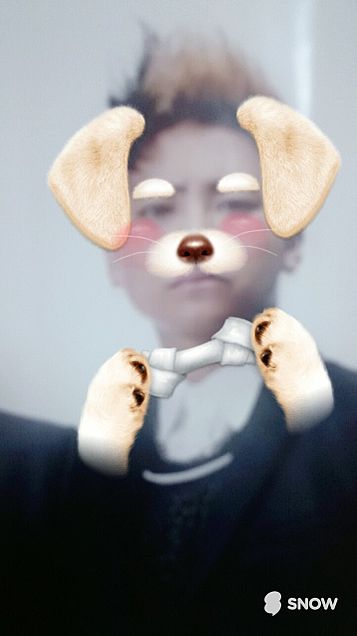 GEKE犬（けん）ww♡の画像(プリ画像)