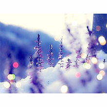 かわいい 冬景色の画像9点 完全無料画像検索のプリ画像 Bygmo