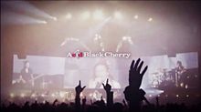 Acid Black Cherryの画像(アシッドブラックチェリーに関連した画像)