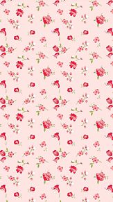 ピンク花の画像(柄 素材に関連した画像)