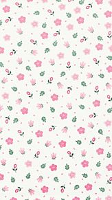 ピンク花の画像18点 完全無料画像検索のプリ画像 Bygmo