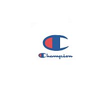 Champion ロゴの画像297点 10ページ目 完全無料画像検索のプリ画像 Bygmo