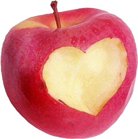 りんご 素材の画像1208点 完全無料画像検索のプリ画像 Bygmo