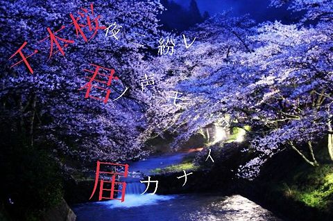 千本桜の画像(プリ画像)