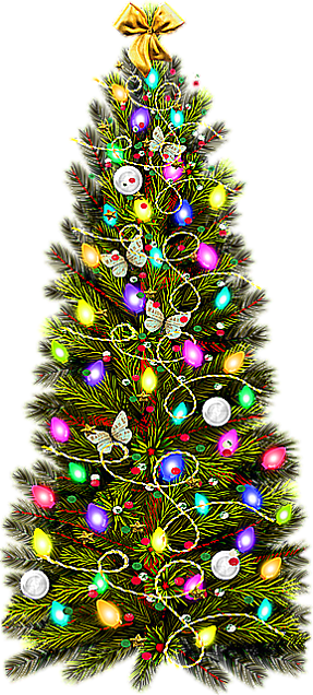 クリスマスツリー 背景透過の画像23点 完全無料画像検索のプリ画像 Bygmo