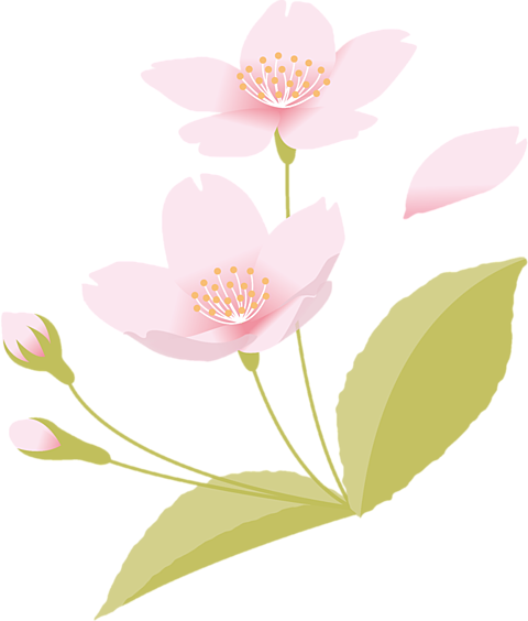スタンプ 素材 花の画像279点 完全無料画像検索のプリ画像 Bygmo