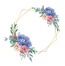 背景透過  紫陽花💠  アジサイの画像(飾り枠に関連した画像)