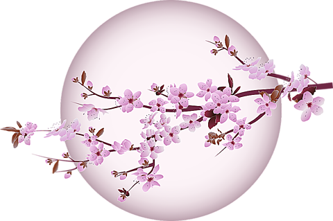 桜 背景透過 パステル 和風 月 加工用素材の画像 プリ画像