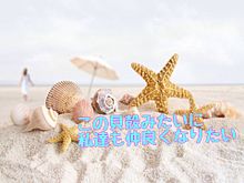砂浜。ポチ&コメ！の画像(貝殻に関連した画像)