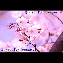 pray for kyusyu kumamotoの画像(for pray 熊本に関連した画像)