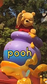 poohさんの画像(poohさんに関連した画像)
