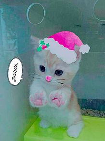 MerryX'masの画像(クリスマス/かわいいに関連した画像)