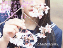 SAKURAの画像(いきものがかり sakuraに関連した画像)