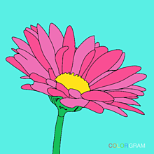 花の画像(colorgramに関連した画像)