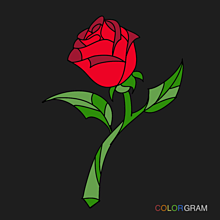薔薇の画像(colorgramに関連した画像)