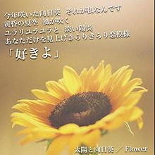 Flower 歌詞画  * 太陽と向日葵の画像(太陽とに関連した画像)