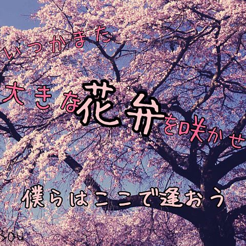 桜ノ雨の画像(プリ画像)