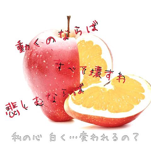 Bad Apple!!の画像(プリ画像)