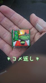 チロル抹茶チョコ味のコメ返し☆の画像(暁陽写メに関連した画像)