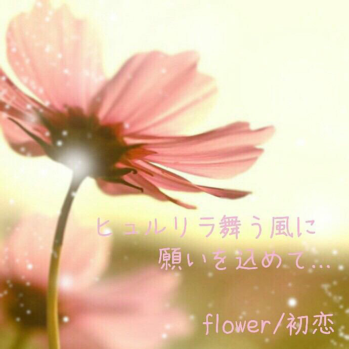 Flower 初恋 歌詞画 完全無料画像検索のプリ画像 Bygmo