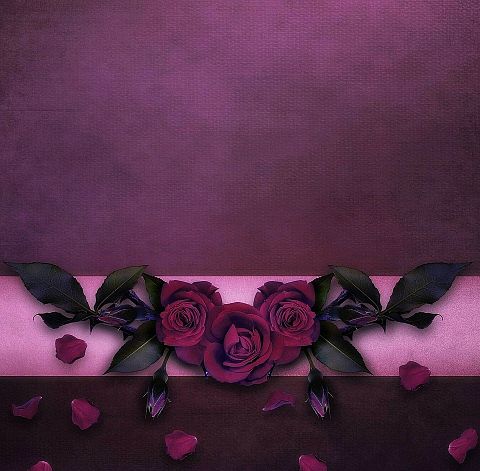 フレーム 枠 薔薇 バラ リボン ゴシックの画像 プリ画像