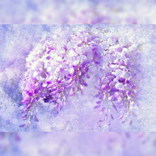 背景 藤の花の画像2点 完全無料画像検索のプリ画像 Bygmo