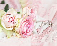ピンク 背景 薔薇の画像166点 完全無料画像検索のプリ画像 Bygmo