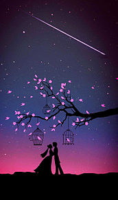 壁紙 夜桜の画像31点 完全無料画像検索のプリ画像 Bygmo