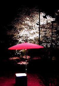 壁紙 夜桜の画像31点 完全無料画像検索のプリ画像 Bygmo