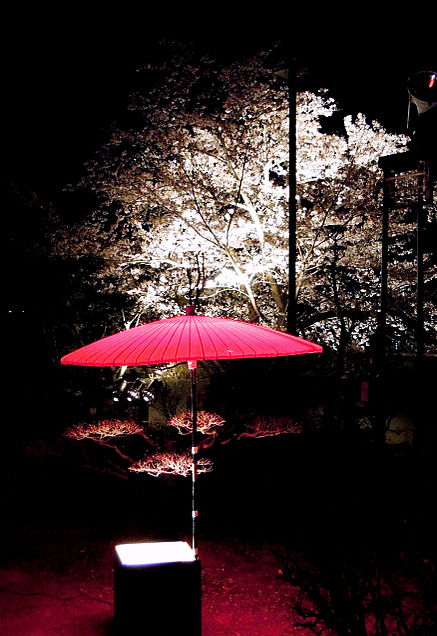幻想的 桜 風景の画像19点 完全無料画像検索のプリ画像 Bygmo