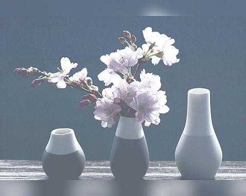 オシャレ 壁紙 桜の画像80点 完全無料画像検索のプリ画像 Bygmo