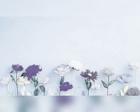 エモい 壁紙 花の画像3点 5ページ目 完全無料画像検索のプリ画像 Bygmo