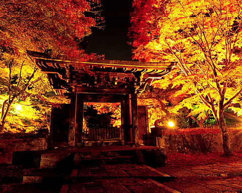 壁紙 神社の画像14点 完全無料画像検索のプリ画像 Bygmo