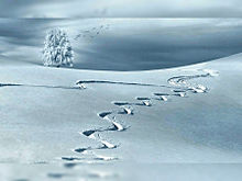 冬景色  雪景色  大自然  風景の画像(プールに関連した画像)