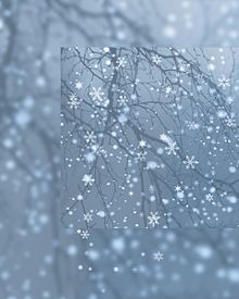 冬景色  雪景色  雪の華  風景の画像(雪の華に関連した画像)