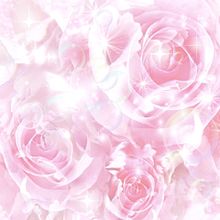 パステル 薔薇 バラ ローズ ピンク かわいいの画像(ピンク 薔薇に関連した画像)
