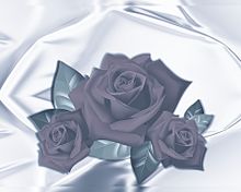 薔薇🌹  バラ  ローズ  モノクロの画像(待受に関連した画像)