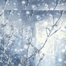 冬景色   雪景色   幻想的   キラキラの画像(モノクロに関連した画像)