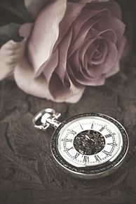 薔薇🌹  バラ  ローズ   ゴシックの画像(エモに関連した画像)