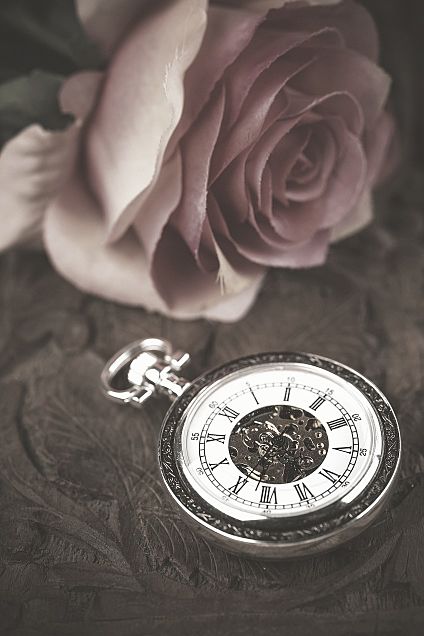 薔薇🌹  バラ  ローズ   ゴシックの画像 プリ画像