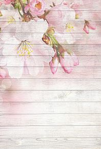桜🌸   桜花  パステル  シンプルの画像(パステルに関連した画像)