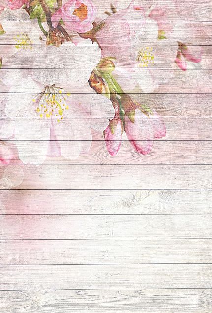 桜🌸   桜花  パステル  シンプルの画像 プリ画像