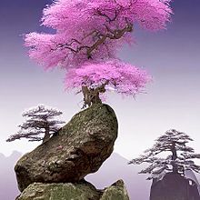 桜🌸  盆栽  幻想的  和風ファンタジーの画像(#和風に関連した画像)