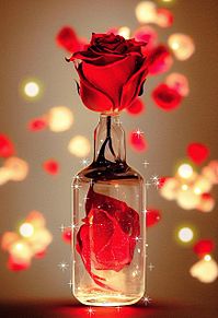 薔薇 バラ ローズ 幻想的 ボトル ガラスの画像(ガラスに関連した画像)