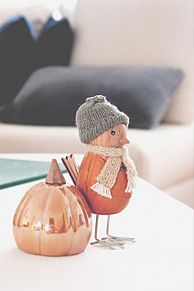 雰囲気 秋色 インテリア オブジェ カボチャの画像(インテリアに関連した画像)
