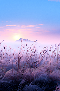 風景画 幻想的 自然 雰囲気 青空 日差しの画像(自然に関連した画像)