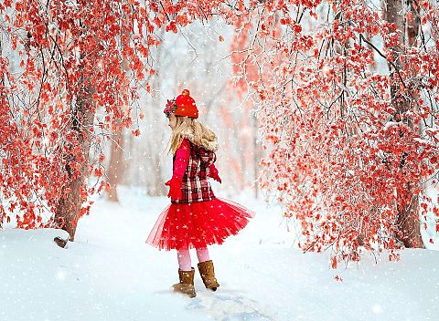女の子  冬景色 雪景色 紅葉 風景画 雰囲気の画像 プリ画像