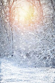 冬景色 雪景色 風景画 幻想的 ロック画面 壁紙の画像(冬に関連した画像)