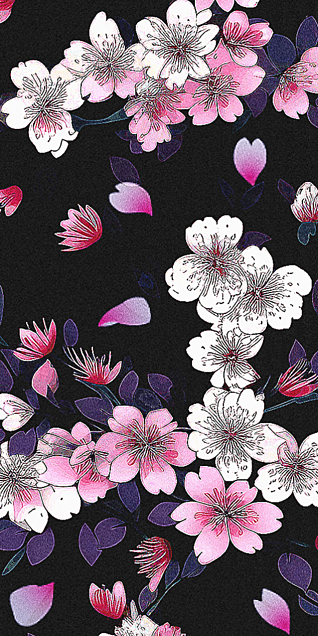 桜 夜桜 幻想的 和風 黒背景 ピンク エモいの画像 プリ画像